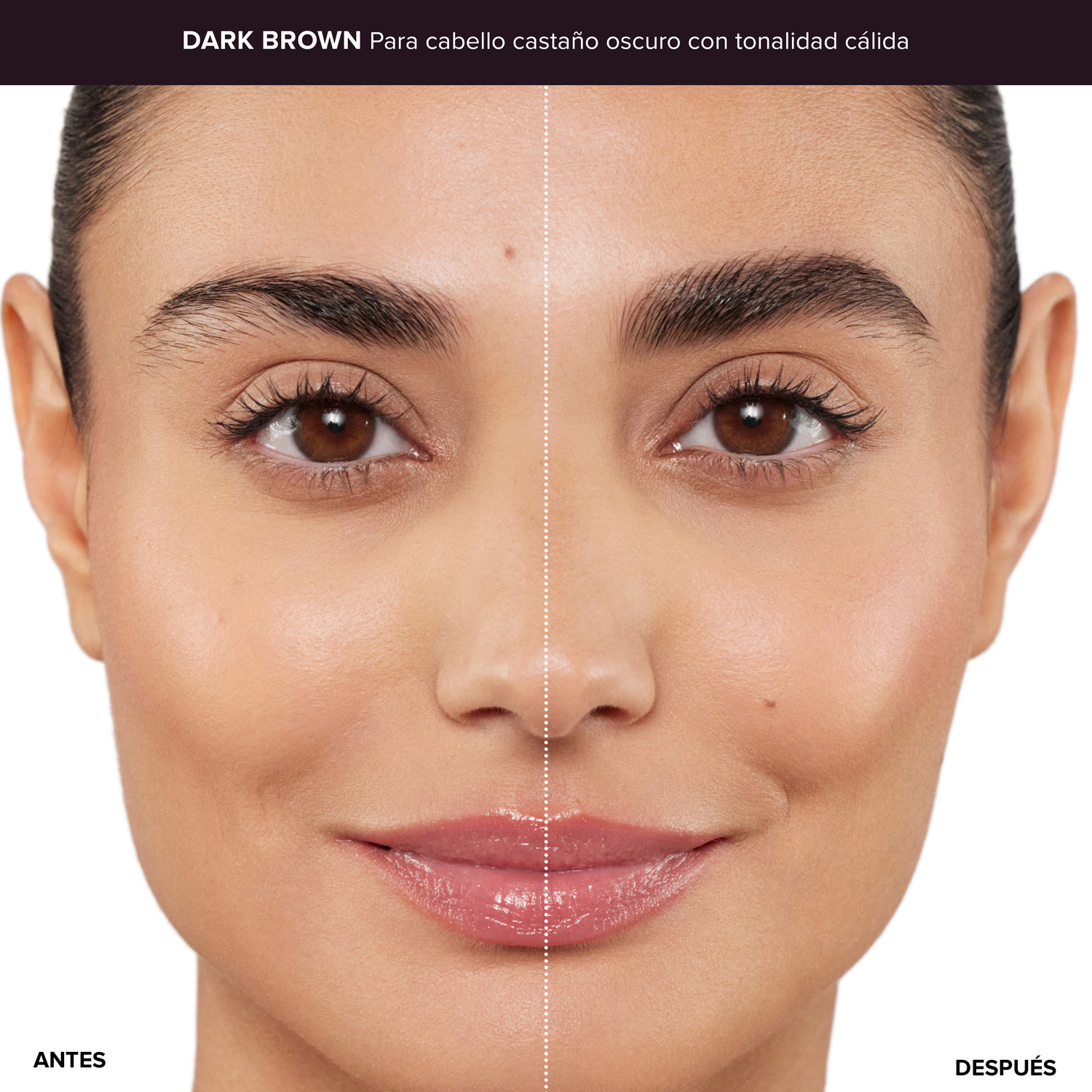 LIFTED & DEFINED BROW DUO (DUO DE MAQUILLAJE PARA CEJAS)